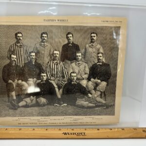 1882 Chicago White Stockings